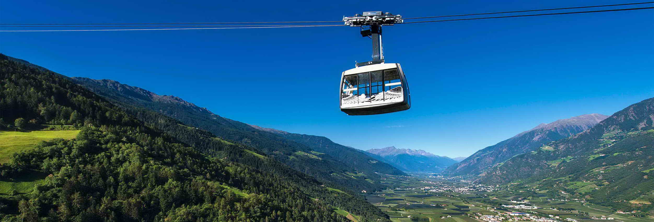 Sommer am Thaler-Hof in Aschbach